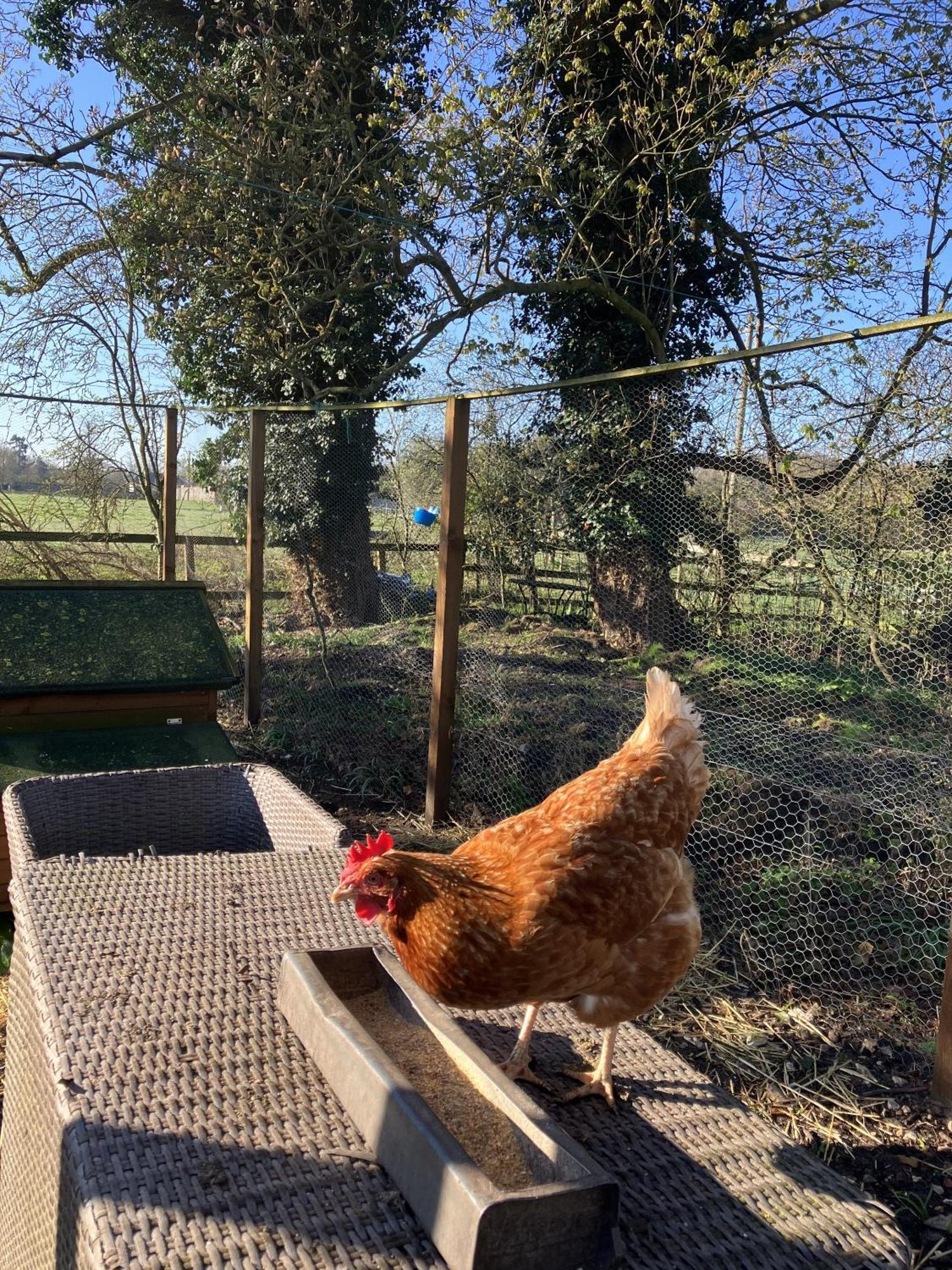 Grange Farm Bed and Breakfast Thetford Εξωτερικό φωτογραφία